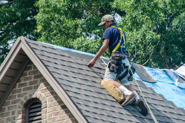 Best Roof Maintenance Services  in Hermann, MO